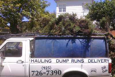 Green Waste Hauling Example Load